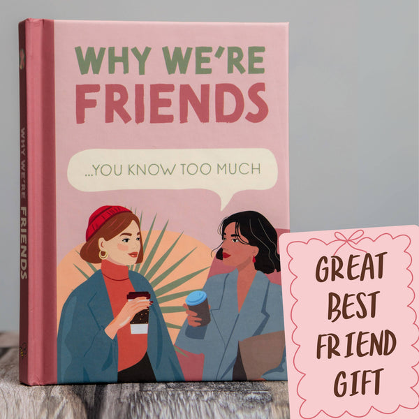 Why We're Friends Book