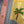 Load image into Gallery viewer, Striped Palm Shirt
