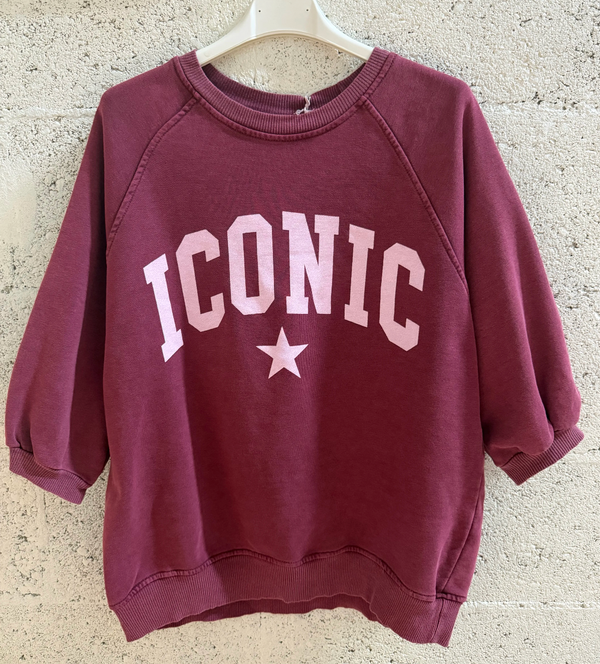 Plain Print Iconic Sweatshirt - Pink
