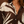 Load image into Gallery viewer, Zebra Print Relaxed-Fit Button-Down Blouse

