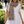 Load image into Gallery viewer, Leaf Print Scarf
