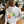 Load image into Gallery viewer, Elodie Iconic Multicolored Hooded Sweatshirt
