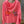 Load image into Gallery viewer, Elodie Iconic Multicolored Hooded Sweatshirt
