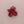 Load image into Gallery viewer, Resin Flower Brooch
