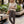 Load image into Gallery viewer, Joggers w/Detail Stripe
