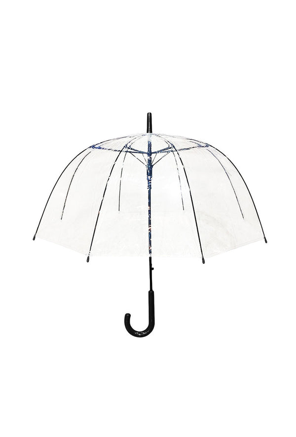 Clear Umbrella